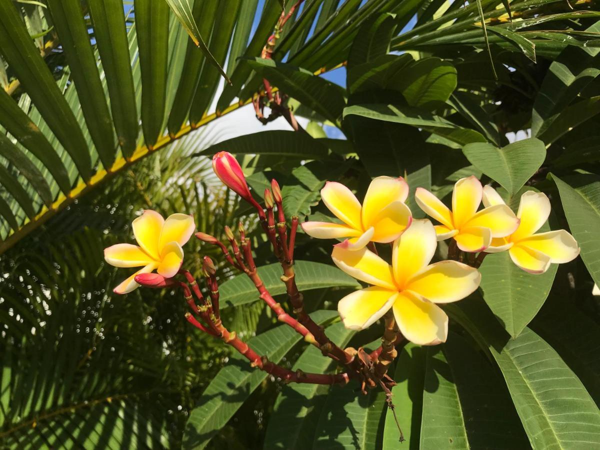 Un Bungalow Au Paradis Saint Pierre Buitenkant foto